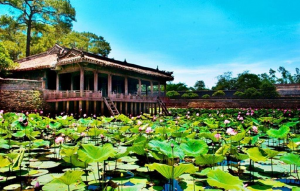 Hồ Tịnh Tâm nổi tiếng co loài sen đẹp
