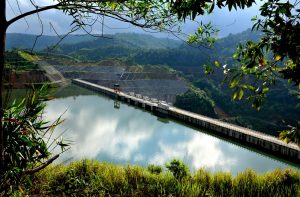Hồ Trúc được nhiều cây xanh và thảm thực vật bao bọc