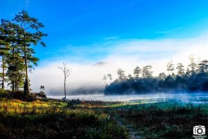 Cảnh đẹp hồ Tuyền Lâm