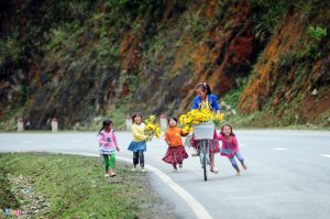 Những đứa trẻ đùa nhau với những cành dã quỳ vãng rực rỡ