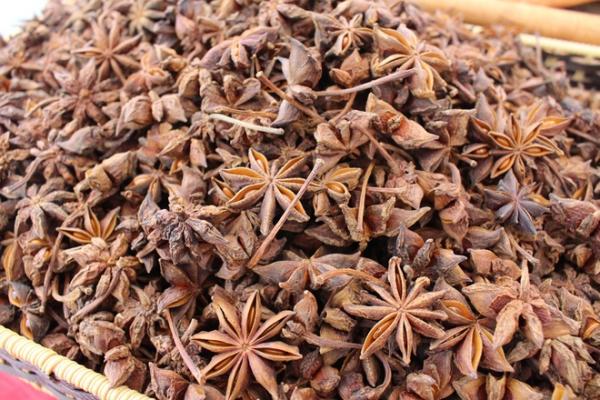 Hồi là một thứ dược liệu quý và là gia vị độc đáo cho các món ăn