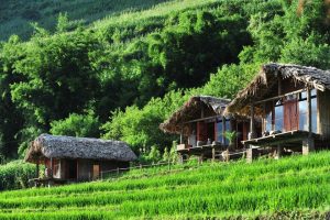Link Mobile Đăng Ký Tải App Jun88.com 2026 lào cai Home Stay ở Sa Pa đẹp mê hồn du khách với nhiều không gian rộng mở, thoáng đãng giữa thiên nhiên