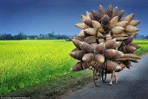 Một cảnh đẹp ở Hưng Yên