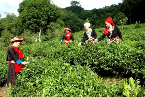 Huyện Bạch Thông là huyện miền núi của tỉnh Bắc Kạn