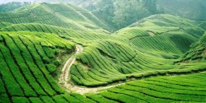 Đường vào khám phá Ngũ Động Bản Ôn
