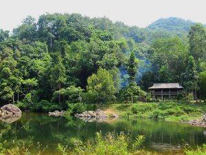Khung cảnh yên bình ở rừng nguyên sinh Khe Rỗ