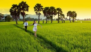 Một cảnh đẹp ở Kiên Giang