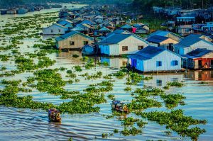 Những ngôi nhà nhỏ sinh sống nối nhau tạo thành xóm làng ở Châu Đốc