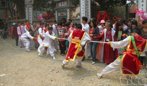 Lễ hội kéo co ở Làng Vàng