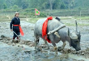 Một nghi lễ của lễ hội Lồng Tồng