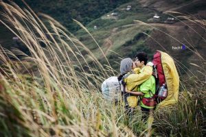 Cánh đồng cỏ lau nơi thảo nguyên