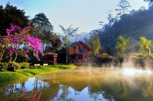 Ma Rừng Lữ Quán được ví như tiên cảnh giữa chốn rừng sâu