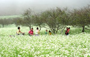 Khung cảnh Hòa Bình đẹp mỗi khi xuân về