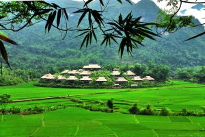 Link Mobile Đăng Ký Tải App Jun88.com 2026 hòa bình Homestay ở Mai Châu nằm giữa cánh đồng