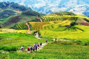 Ruộng bậc thang ở Mai Châu
