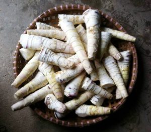 Măng vầu miền núi Bắc Kạn
