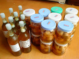 Một ong hoa rưng Mù Cang Chải