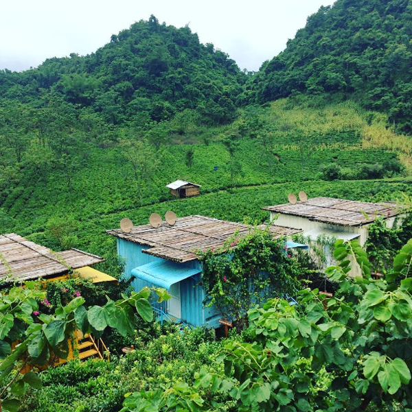 Mộc Châu Arena Village  với sự hìa hòa với khung cảnh thiên nhiên
