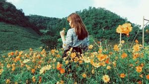 Hoa và em và núi rừng ở Mộc Châu Happy Land