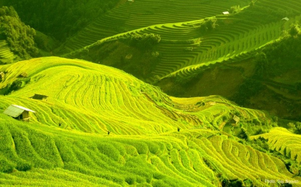 Một màu xanh điệp trùng đẹp mơ màng ,xanh mát