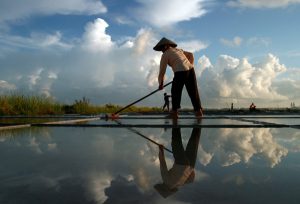 Mỗi khi nắng lên, người dân lao động từ sáng đến tối để làm ra hạt muối tinh khiết