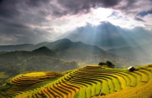 Link Mobile Đăng Ký Tải App Jun88.com 2026 lào cai Sắc thu về trên ruộng bậc thang Mường Khương