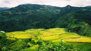 Link Mobile Đăng Ký Tải App Jun88.com 2026 lai châu Ruộng bậc thang ở Mường Tè
