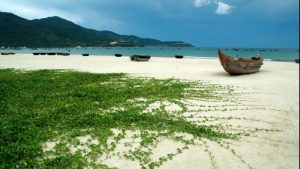 Link Mobile Đăng Ký Tải App Jun88.com 2026 quảng ngãi Bãi biển Mỹ Khê quyễn rũ