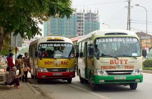Xe buýt là phương tiện bạn có thể sử dụng để ngắm hoa hướng dương 2018
