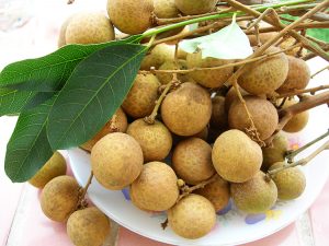 Nhãn lồng Hưng Yên nổi tiếng cả một vùng phía Bắc