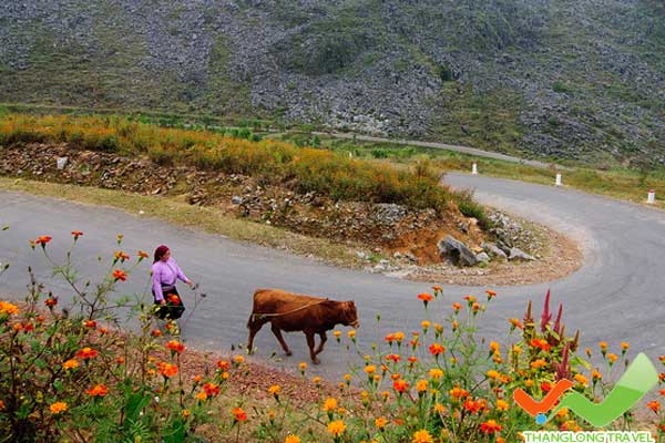 Con đường về thăm núi đôi Quản Bạ