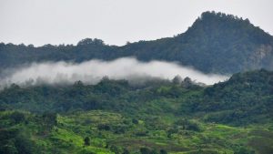 Xanh ngát núi Ngọc Linh