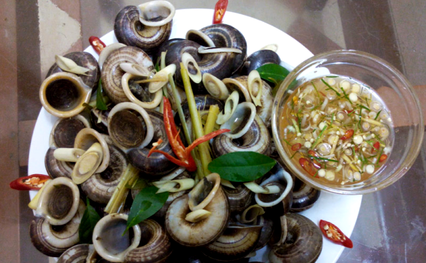 Ốc suối Bàng ăn ngọt, thơm, vị bùi béo chấm với nước mắm