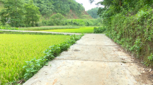 Pắc Nặm ngày nay đã có đường 8Jun88 ưu đãi hấp dẫn đến cac trung tâm xã