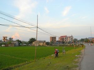Cánh đồng huyện Phú Bình