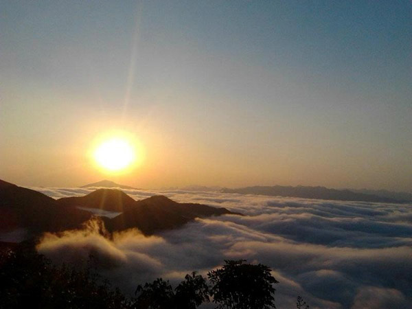 Săn mây ở Phù Yên