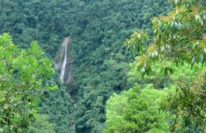 Khu bảo tồn thiên nhiên Pu Canh