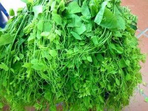 Rau dạ hến nấu canh rất ngọt và vị đậm đà