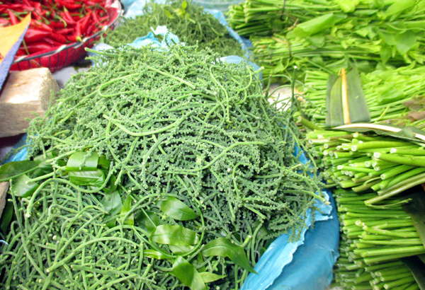 Rau sắng chính là lá ngót rừng ăn ngon, ngọt đậm và bùi