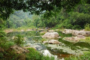 Một con suối ở rừng nguyên sinh Khe Rỗ