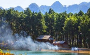 Rừng thông bản Áng thấp thoáng những ngôi nhà sàn tuyệt đẹp