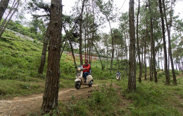Những con đương nhỏ trong rừng thông để du khách lượn lờ, hít không khí trong lành, mát mẻ