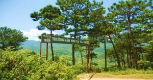 Một ngôi trường nằm trên rùng thông thơ mộng