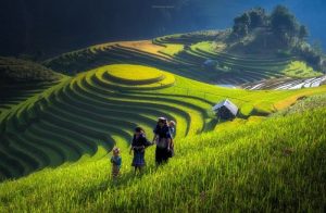 Ruộng bậc thang ở Bắc Mê