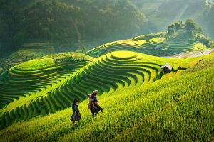 Núi đôi Quản Bạ đẹp trong sắc áo xanh non