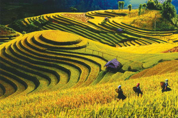 Ruộng bậc thành Lai Châu