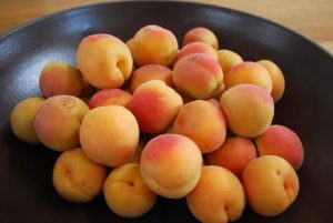 Những quả mơ trên núi Yên Tử được hái về để sản xuất rượu