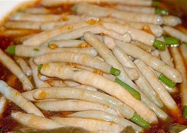Sá sùng Vân Đồn