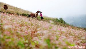 Si Ma Cai đẹp trong trẻo ở mỗi góc nhìn