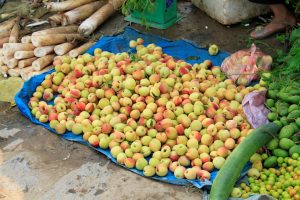 Đào Sơn La và những đặc sản núi rừng